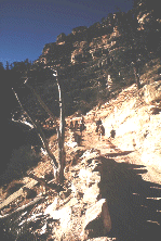 grandcanyon.gif (26796 bytes)