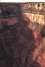 grandcanyon2.gif (34068 bytes)