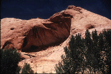 nav1.gif (30195 bytes)