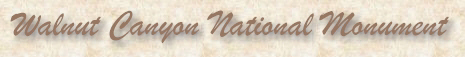 walnuttitle.jpg (24145 bytes)