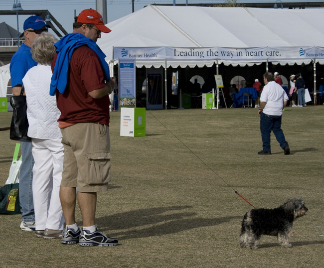Heart Walk 2008 (175)