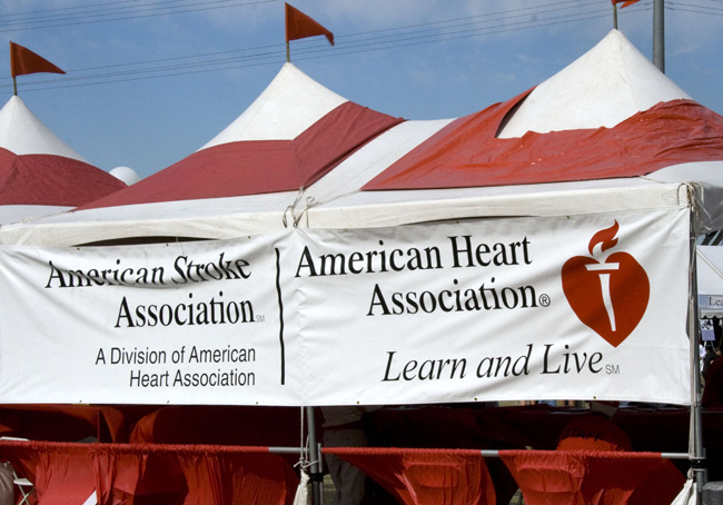 Heart Walk 2008 (199)
