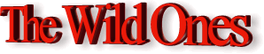 wild.gif (8859 bytes)