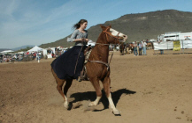 sass00021.jpg (60445 bytes)