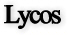 lycos.jpg (2638 bytes)