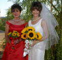 web 00072.jpg (528336 bytes)